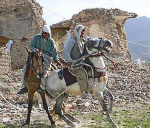 Nuova Zelanda, parata di big per la terza edizione della Auckland Triennial