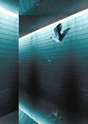 fino al 18.IV.2007 | Mauro Rescigno | Napoli, Galleria Overfoto fino al 18.IV.2007 | Mauro Rescigno | Napoli, Galleria Overfoto