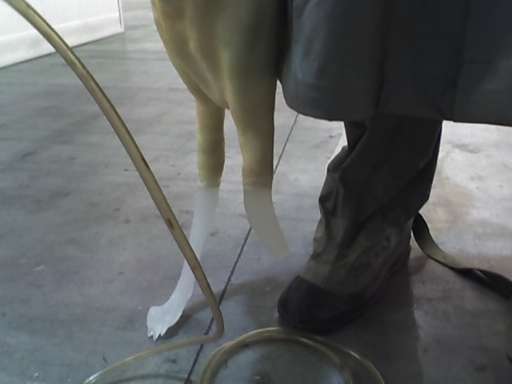 Da Milano: opening fatale per un’opera di Kuba Bakowski |