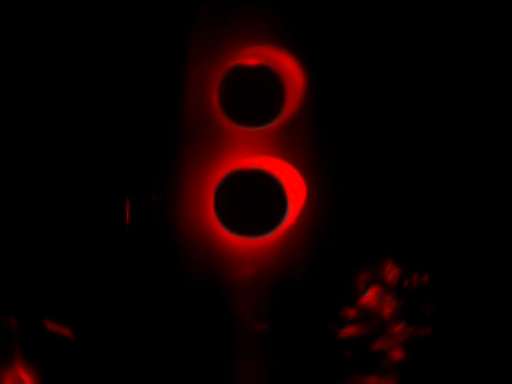 fino al 23.IV.2007 | Raul Gabriel | Roma, Pino Casagrande