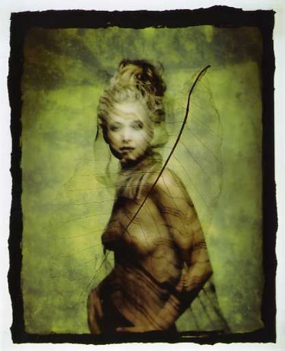 fino al 3.V.2007 | Hiroshi Nonami | Roma, Mondo Bizzarro