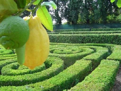 A spasso per il Lazio, a visitare “I giardini nascosti”