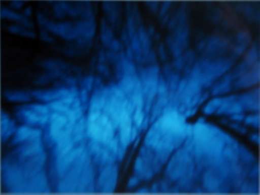 fino al 10.V.2007 | Bianco-Valente | Prato, Galleria Enrico Fornello fino al 10.V.2007 | Bianco-Valente | Prato, Galleria Enrico Fornello