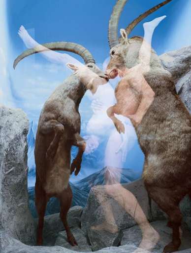 fino al 27.IV.2007 | Oleg Kulik | Milano, Galleria Nina Lumer fino al 27.IV.2007 | Oleg Kulik | Milano, Galleria Nina Lumer