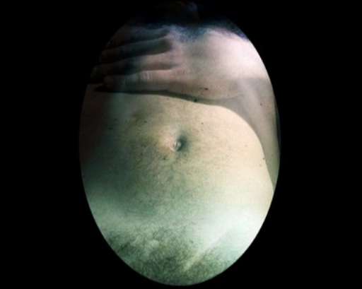 Gemine Muse 2007, 140 artisti per ventiquattro città. Da quest’anno con percorsi a tema…