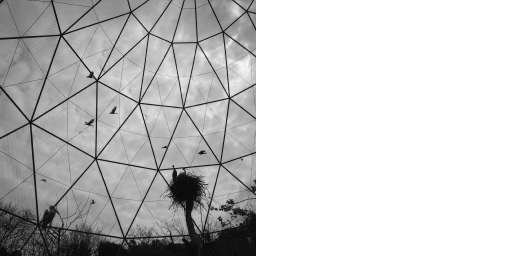 fino al 30.IV.2007 | Graciela Iturbide | Roma, Tempio di Adriano fino al 30.IV.2007 | Graciela Iturbide | Roma, Tempio di Adriano