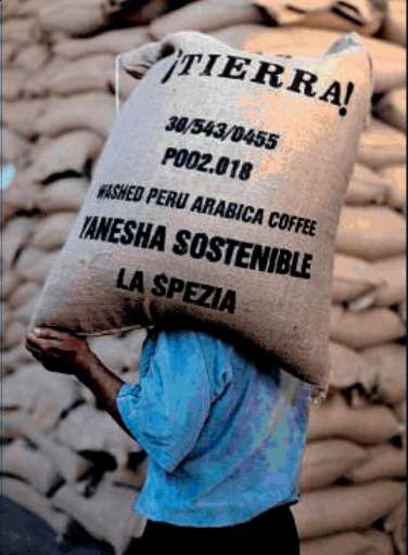 Luoghi o Non luoghi? Mostre fotografiche nei mall Carrefour, si parte con Steve McCurry