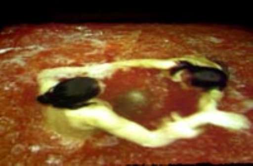 Puglia, con Studio Azzurro cresce la nuova collezione permanente del Museo Pino Pascali