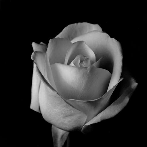 fino al 14.VII.2007 | Saverio Chiappalone | Milano, Fondazione Mudima fino al 14.VII.2007 | Saverio Chiappalone | Milano, Fondazione Mudima