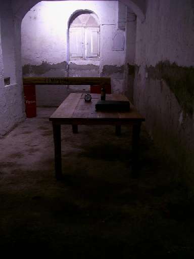 fino al 12.VII.2007 | Jimmie Durham | Roma, Fondazione Volume!