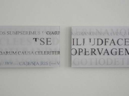 fino al 14.VII.2007 | Arnold Dreyblatt | Torino, Blank