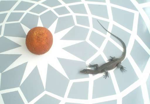 Last minute a Bergamo, una serata per i ritardatari alle mostre della GAMeC Last minute a Bergamo, una serata per i ritardatari alle mostre della GAMeC