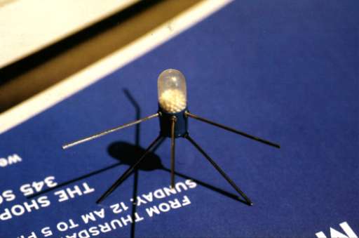 fino al 15.VII.2007 | Kuba Bakowski | Ancona, Mole Vanvitelliana fino al 15.VII.2007 | Kuba Bakowski | Ancona, Mole Vanvitelliana