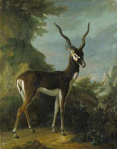 fino al 2.IX.2007  | Oudry’s Painted Menagerie | Los Angeles, Getty Center