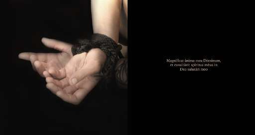 fino al 10.X.2007 | Roberta Fanti | Bologna, PivArte