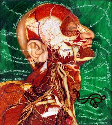 exibinterviste – la giovane arte | Valerio Carrubba