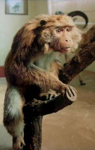 fino al 5.VIII.2007 | White Sun | Monfalcone (go), Galleria Comunale