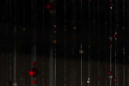 Sydney in Translation. Terza edizione di progetti site-specific negli spazi cittadini Sydney in Translation. Terza edizione di progetti site-specific negli spazi cittadini