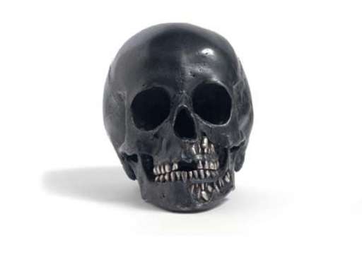 Arte e bellezza ci salveranno? Una conversazione veneziana “a casa” di Hirst…