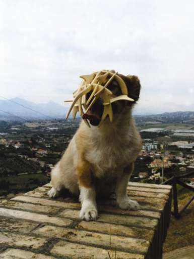 exibinterviste – la giovane arte | Paride Petrei