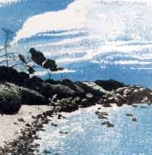 Galleria Giorgio Marosi, ancora un nuovo spazio al debutto a Torino