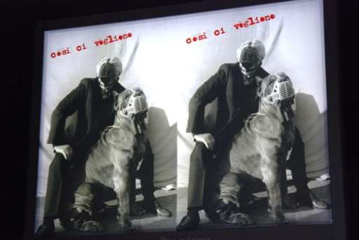 Napoli invasa dalla riforma di Gracco. Invocata e… abbaiata su un migliaio di manifesti