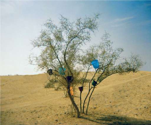 fino al 13.XI.2007 | Dubravka Vidovic | Milano, Artopia