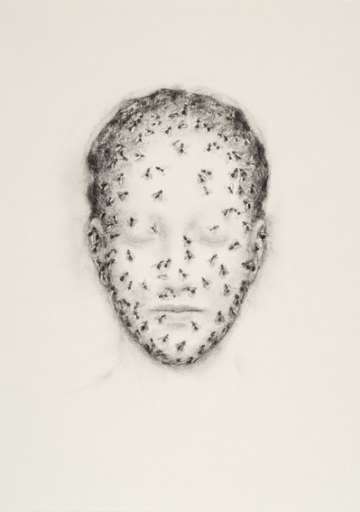 fino al 24.XI.2007 | Juul Kraijer | Milano, Monica De Cardenas