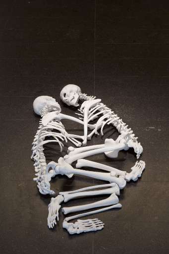 fino al 30.XI.2007 | Marzia Migliora | Milano, Lia Rumma