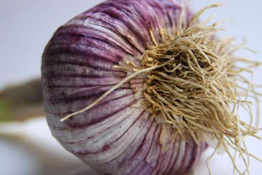 Food Photography per il debutto di M32 Portfolio Gallery, nuovo spazio torinese