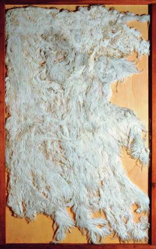 fino al 2.XII.2007 | Mario Ceroli | Roma, Palazzo delle Esposizioni fino al 2.XII.2007 | Mario Ceroli | Roma, Palazzo delle Esposizioni