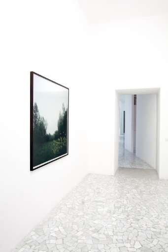 fino al 7.XII.2007 | Darren Almond | Napoli, Alfonso Artiaco