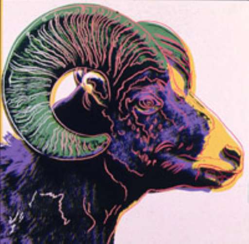 fino al 6.I.2008 | La scimmia nuda | Trento, MTSN fino al 6.I.2008 | La scimmia nuda | Trento, MTSN