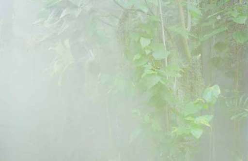 ManinFesto, ecco gli otto finalisti del concorso friulano