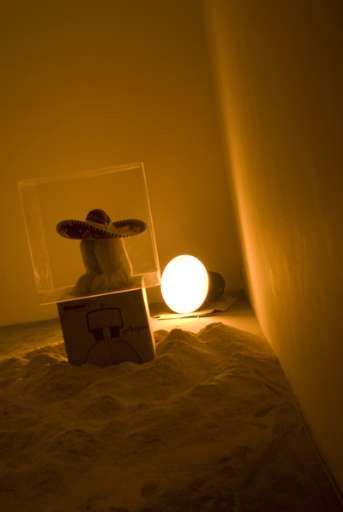 fino al 10.I.2008 | Justin Lowe | Roma, Cesare Manzo