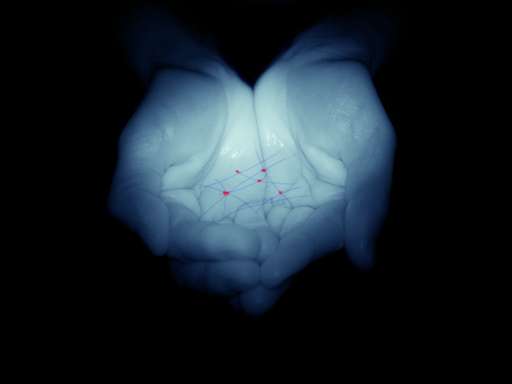 Prix Bmw-Paris Photo pour la Photographie, quattro gli italiani in finale Prix Bmw-Paris Photo pour la Photographie, quattro gli italiani in finale