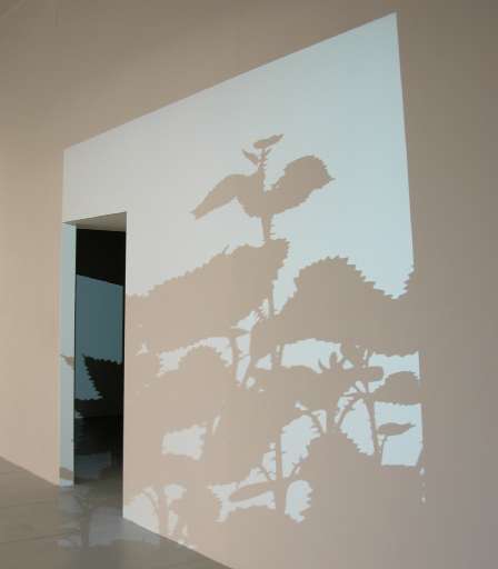 fino al 30.I.2008 | Tony Cragg / Paolo Piscitelli | Torre Pellice (to), Tucci Russo