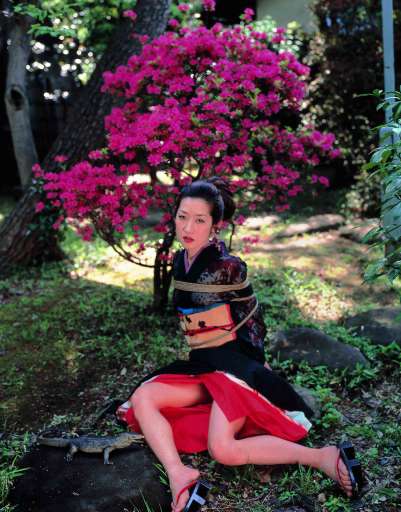 fino al 17.II.2008 | Nabuyoshi Araki | Roma, Istituto Nazionale per la Grafica fino al 17.II.2008 | Nabuyoshi Araki | Roma, Istituto Nazionale per la Grafica