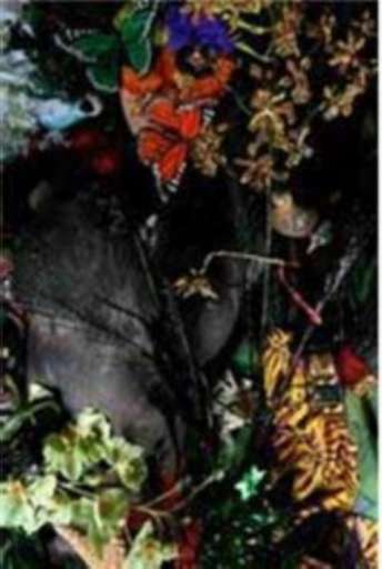 fino al 23.XII.2007 | Samantha Magowan | Napoli, annarumma404