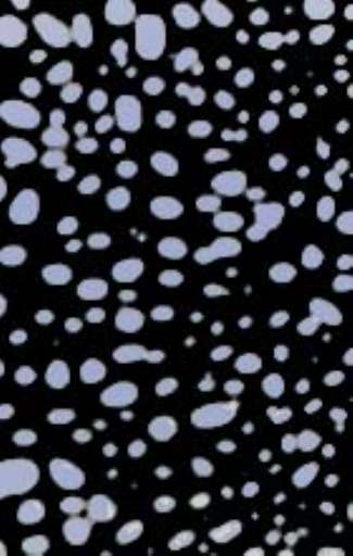 fino al 7.XII.2007 | Debra Werblud | Venezia, Michela Rizzo