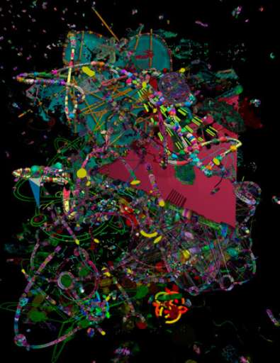 fino al 9.I.2008 | Shane Hope | Prato, Project Gentili