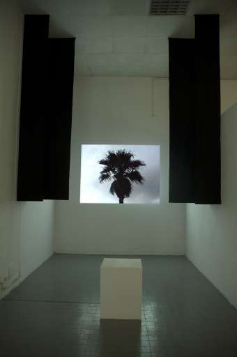 fino al 20.XII.2007  | Invisible Miracles | Milano, sedi varie