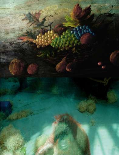 fino all’8.II.2008 | Flavio Micheli | Roma, La Nuova Pesa