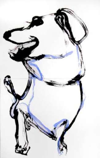 fino al 20.I.2008 | Abbiamo fatto bene ad uscire | Buttrio (ud), Spac