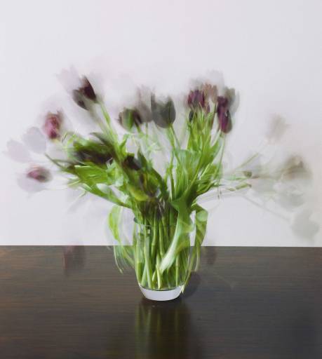 fino al 27.III.08 | Michael Wesely | Roma, Pino Casagrande fino al 27.III.08 | Michael Wesely | Roma, Pino Casagrande