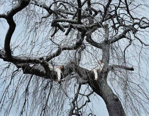 fino al 12.IV.2008 | Maria Friberg | Milano, Galica