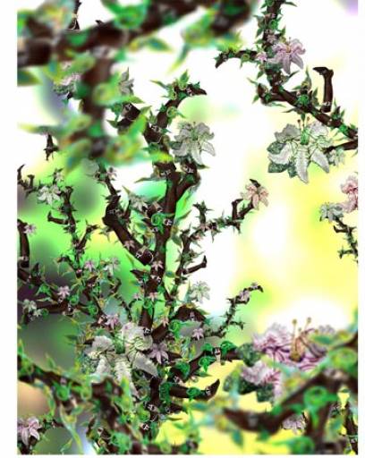 fino al 21.V.2008 | Sandra Bermudez | Roma, Z2O Galleria