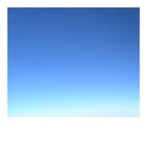 fino all’11.V.2008 | Werner Gasser / Gabriele Giugni | Roma, Pino Casagrande