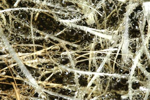 fino al 9.V.2008 | Reiko Hiramatsu | Roma, Galleria Navona 42