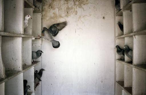 fino al 5.V.2008 | Four Rooms | Napoli, Madre fino al 5.V.2008 | Four Rooms | Napoli, Madre